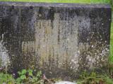 image of grave number 907320